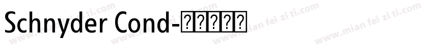 Schnyder Cond字体转换